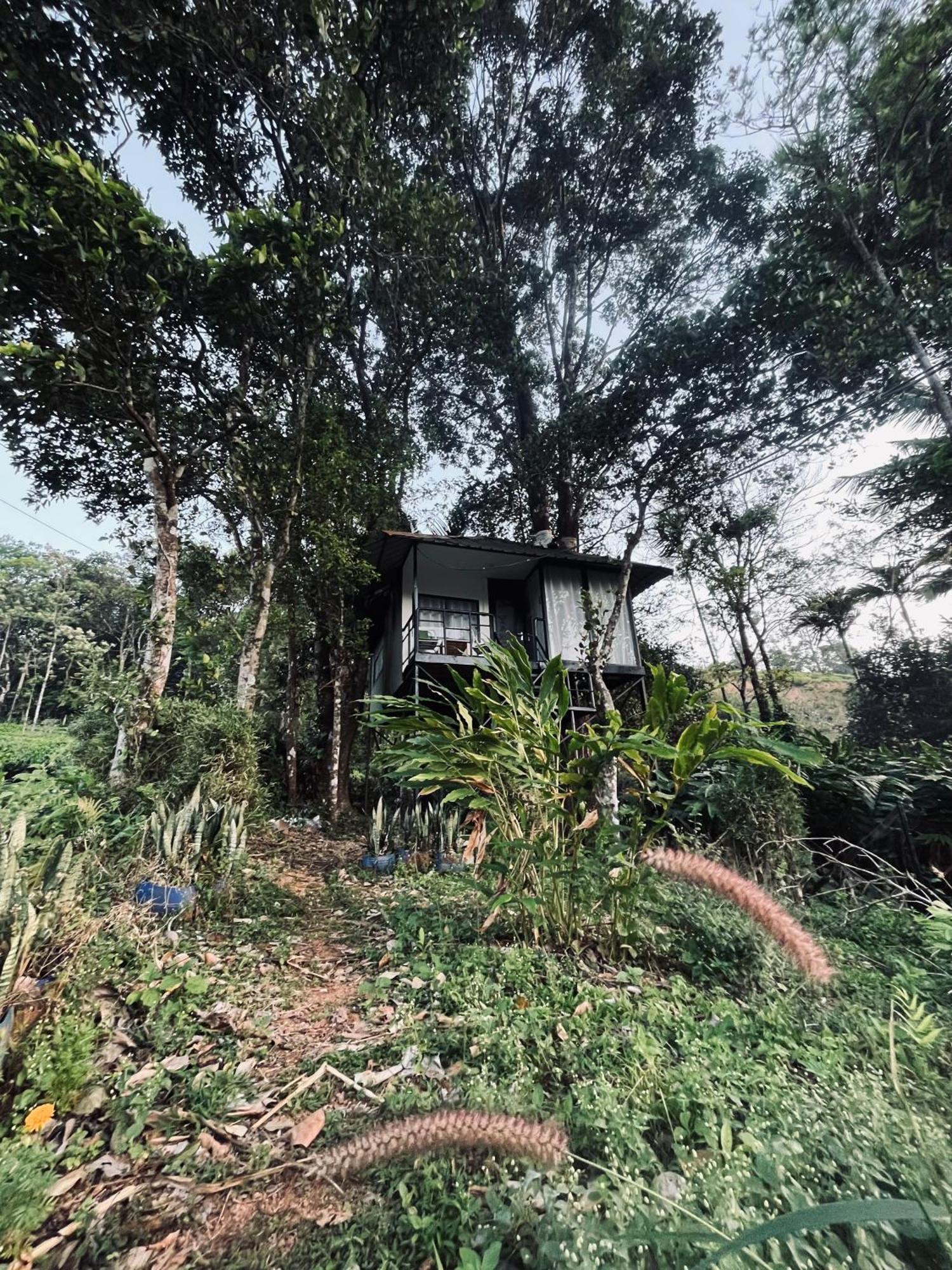 Villa Silent House Kudayattur Esterno foto