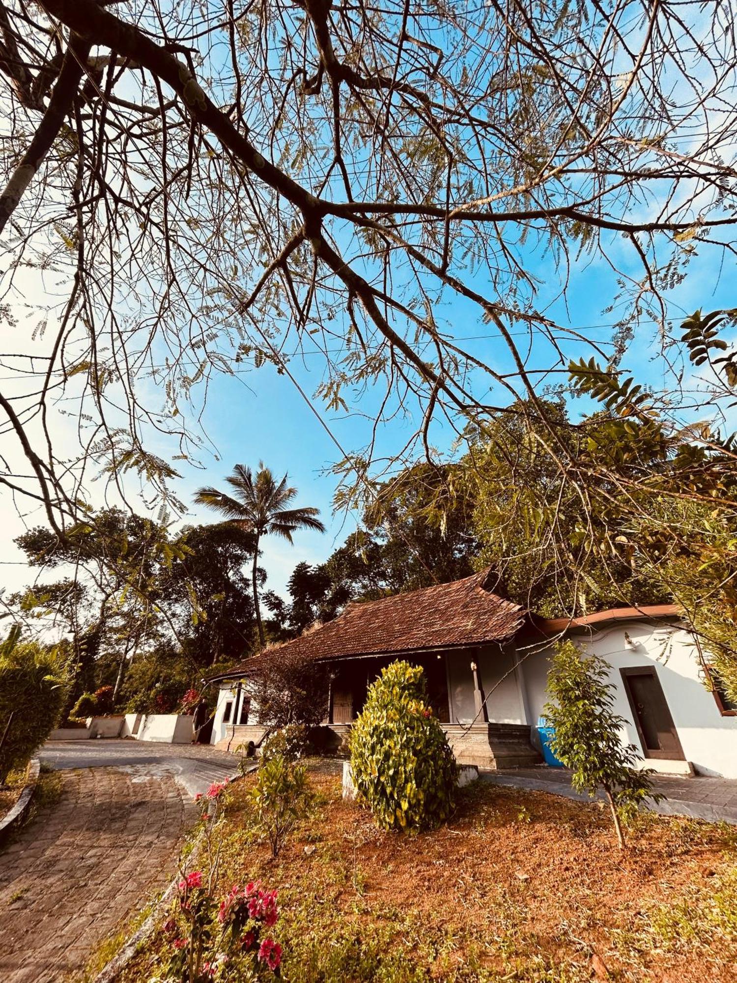 Villa Silent House Kudayattur Esterno foto